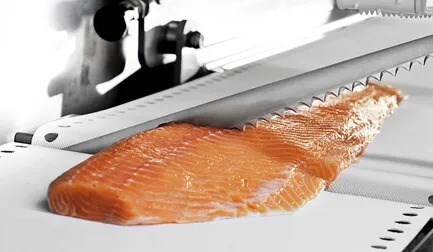 Portioning Fish Fish portion cutter icut 11 - Portioning and fish cutting machines