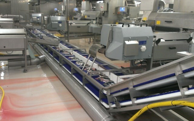 FISH PROCESSING SYSTEMS pic 1