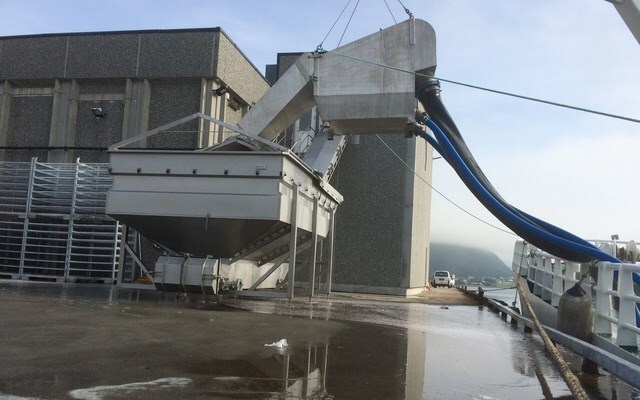 FISH RECEIVING AREA 