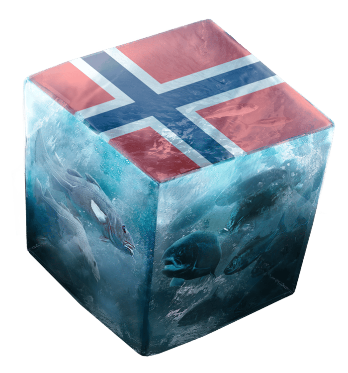 MMC-Frontpage-flag