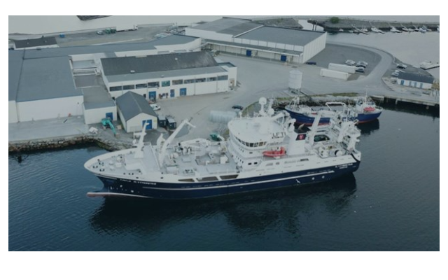 PELAGIC PROCESSING FRONT