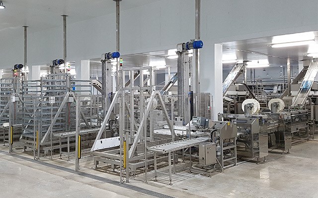 Pelagic processing-1
