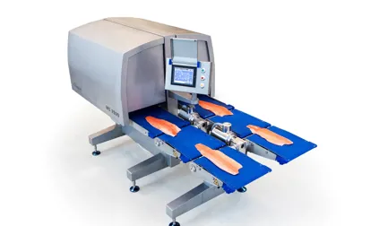 QC Scanner MS 2920 