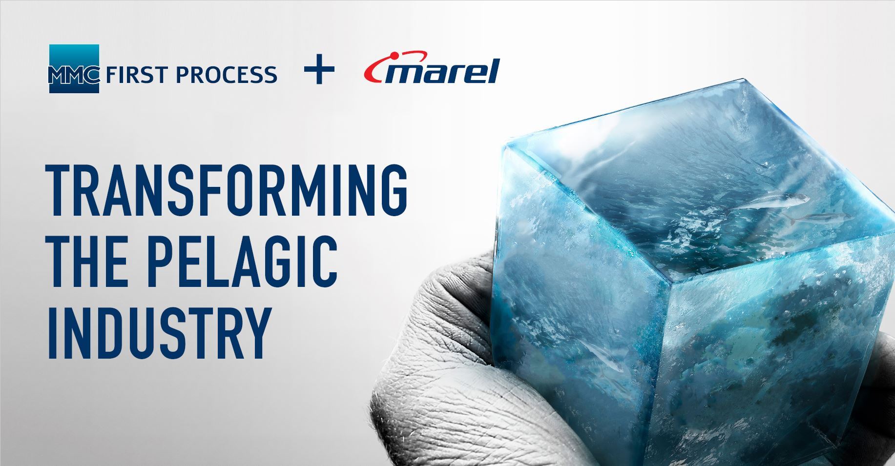 MMC First Process y Marel establecen un acuerdo de colaboración de trabajo para transformar la industria pelágica