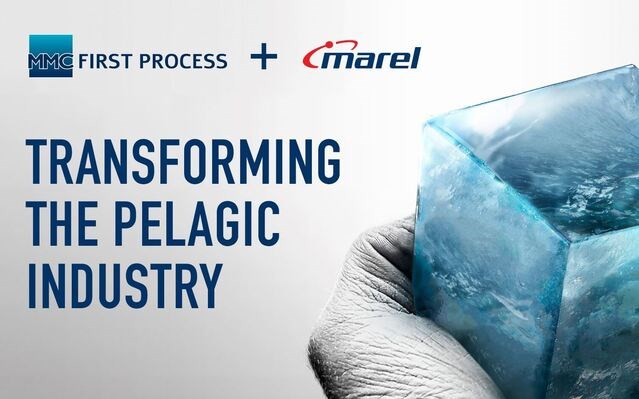 MMC First Process y Marel establecen un acuerdo de colaboración de trabajo para transformar la industria pelágica
