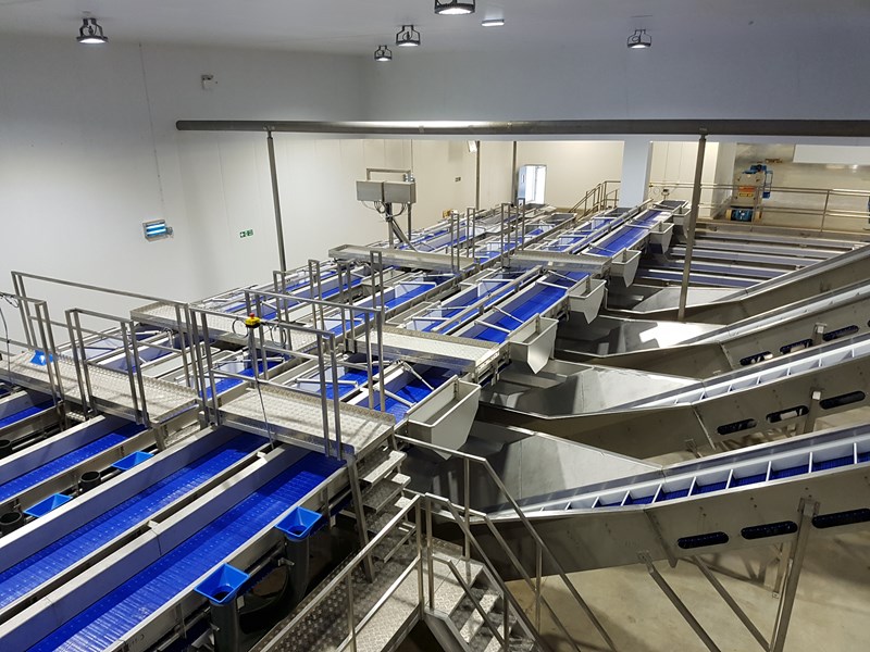 FISH HANDLING DISTRIBUTION SYSTEMS