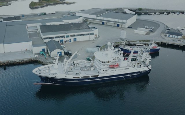 Pelagic processing