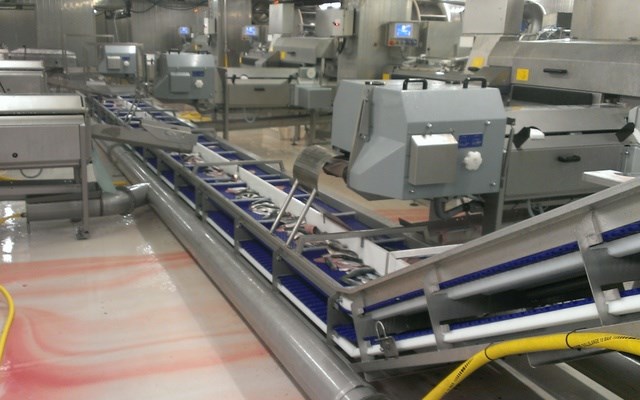 FISH PROCESSING SYSTEMS